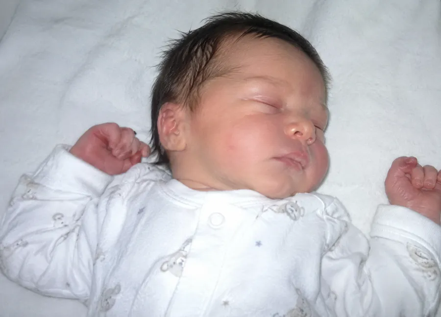 Their photo